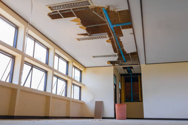 Best Flood damage cleanup  in Oak Grove, MN