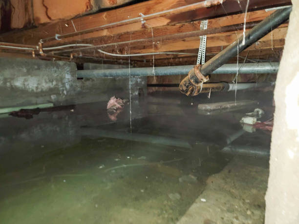 Best Emergency water damage restoration  in Oak Grove, MN