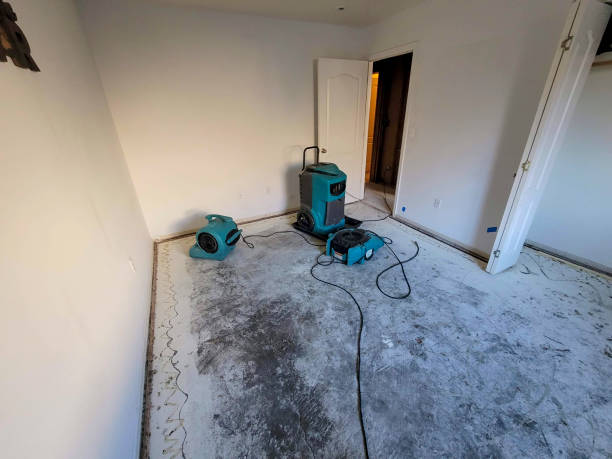 Best Sewage cleanup and water damage restoration  in Oak Grove, MN