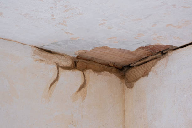 Best Water damage restoration near me  in Oak Grove, MN
