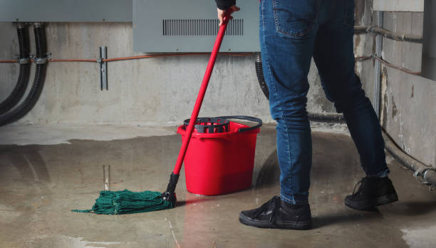 Sewage cleanup and water damage restoration in Oak Grove, MN