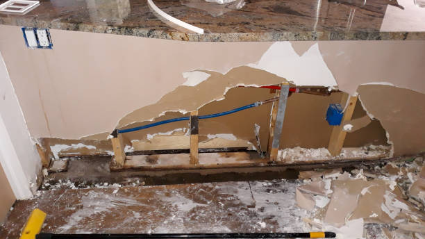 Best Flood damage cleanup  in Oak Grove, MN