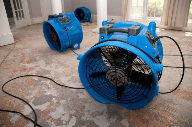 Best Water damage cleanup near me  in Oak Grove, MN