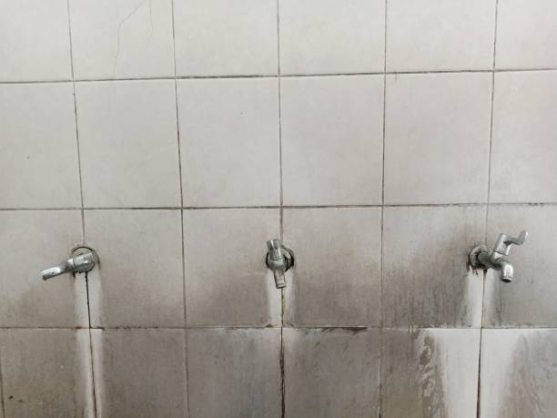 Best Ceiling water damage repair  in Oak Grove, MN