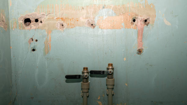 Best Basement water damage restoration  in Oak Grove, MN