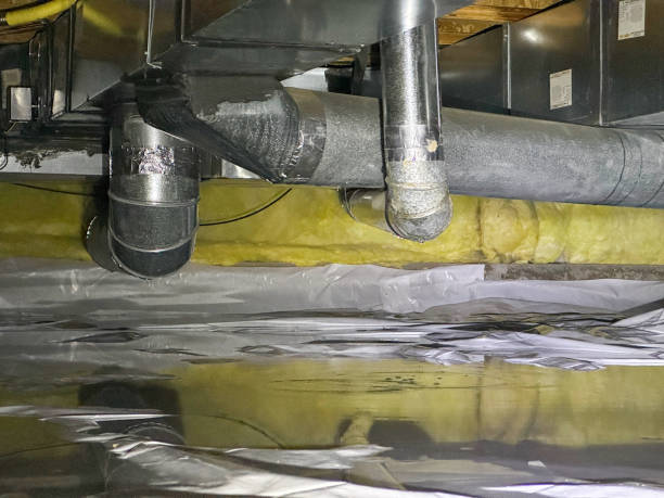 Best Flood restoration services  in Oak Grove, MN