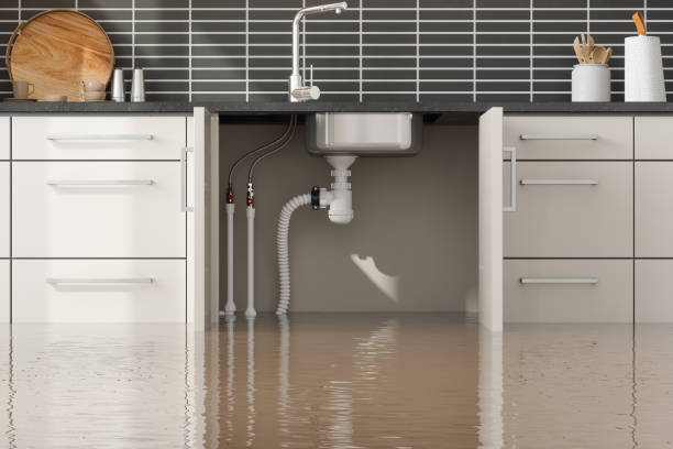 Trusted Oak Grove, MN Water damage restoration Experts