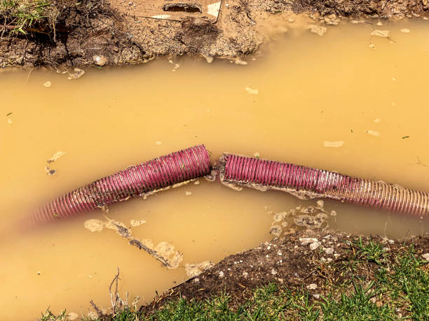 Best Local water damage restoration  in Oak Grove, MN