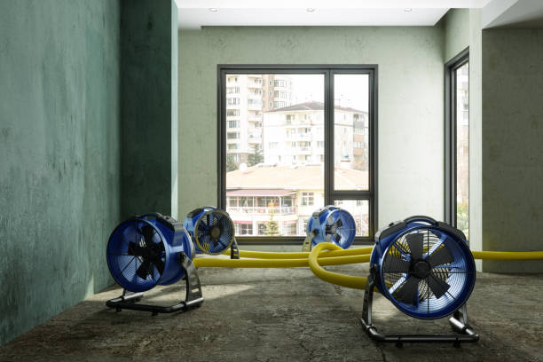Best Carpet water damage restoration  in Oak Grove, MN